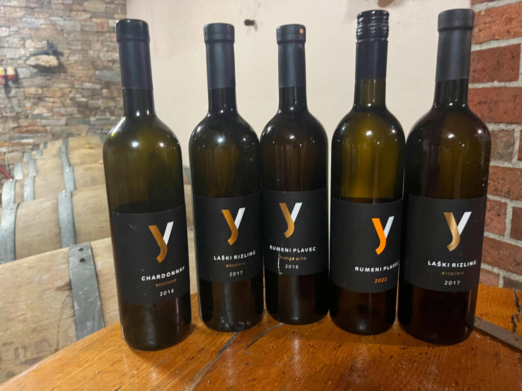 Cycling Wine tasting tour near Zagreb, on Žumberak