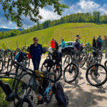 Cycling Wine tasting tour near Zagreb, on Žumberak