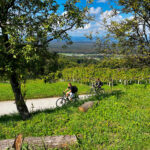 Cycling Wine tasting tour near Zagreb, on Žumberak